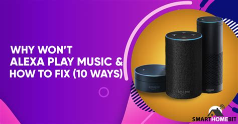 why won't alexa play music, and the multifaceted enigmas behind digital audio assistance